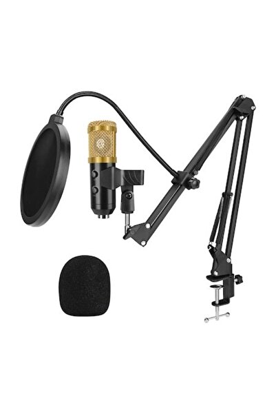 USB Professional BM 900-6-5 Microphone with Adjustable Volume & Echo - Stream...