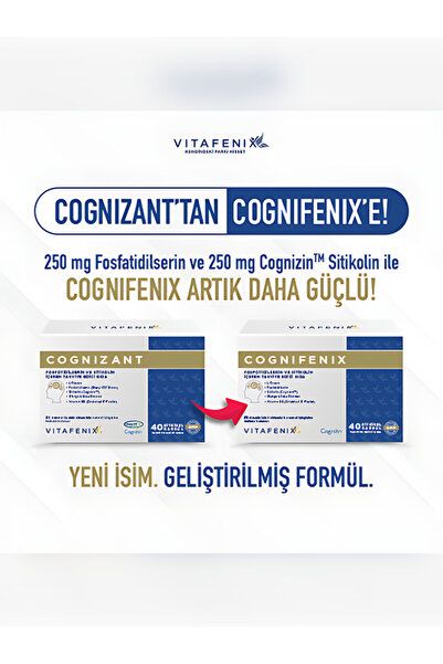Vitafenix Cognifenix Fosfotidilserin ve Sitikolin İçeren Takviye Edici Gıda 40 Kapsül