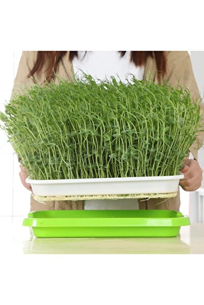 OEM Set 2 Tavi pentru microverzi, germinator hidroponic de seminte.