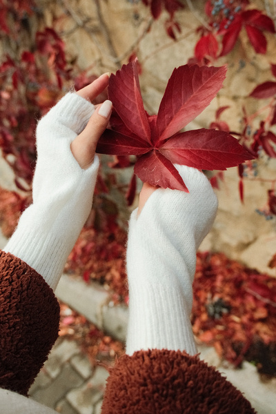 CHUBA Women's Knitwear Beanie and Gloves Two-Piece Set White 26W5005