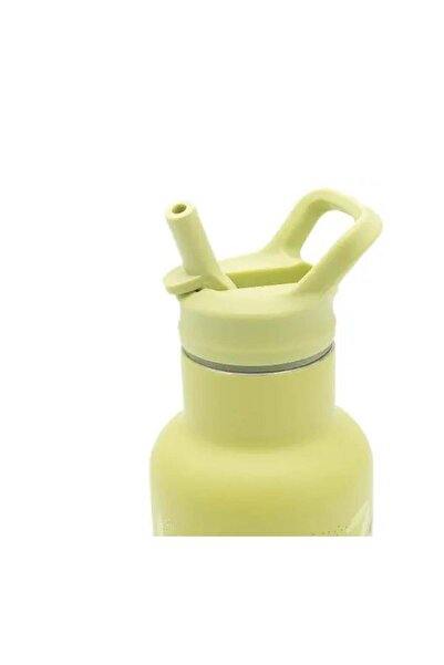 SASSI Steel Thermos with Straw - Strong Dinosaur