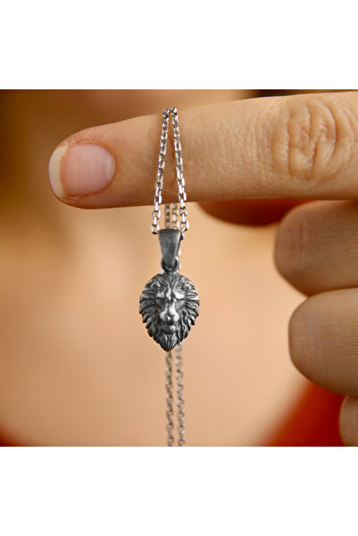 GIBYJEWEL 925 Ayar Gümüş Üc Boyutlu Karartmalı Aslan Kafası Kolye (Tepelik da...