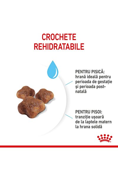 Royal Canin Hrană uscată Mother & BabyCat pentru pisici și pisoi până la 4 luni, 2 kg