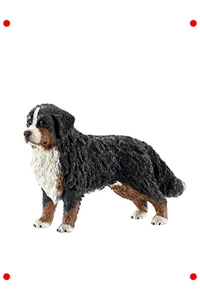 markentegra Detailed Bernese Mountain Dog Figure - Realistic Design