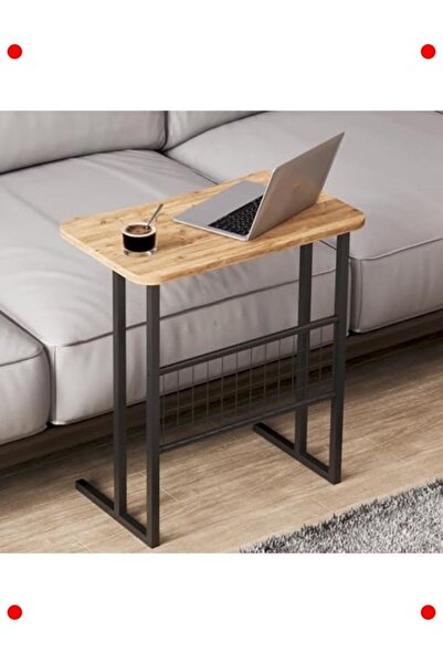 markentegra Multi-Purpose Laptop Stand with Metal Legs