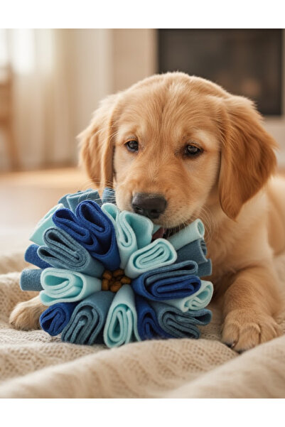 Evendi Olfactory ball for dogs, Blue