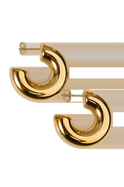 Twinssis Accessories Curved Large Hoop Earrings