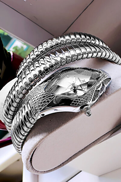 Daniel Klein Snake Watch Model - Women's Wristwatch, Waterproof Silver Color Steel Band - Bracelet Gift Dkby2053C5