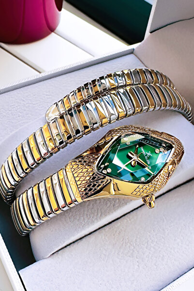 Daniel Klein Snake Watch Model - Women's Wristwatch, Waterproof Gold Silver Steel Band - Bracelet Gift Dkby2053C3