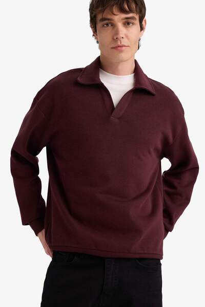 DeFacto Φούτερ με λαιμόκοψη πόλο με χαλαρή εφαρμογή G6475AX25WN