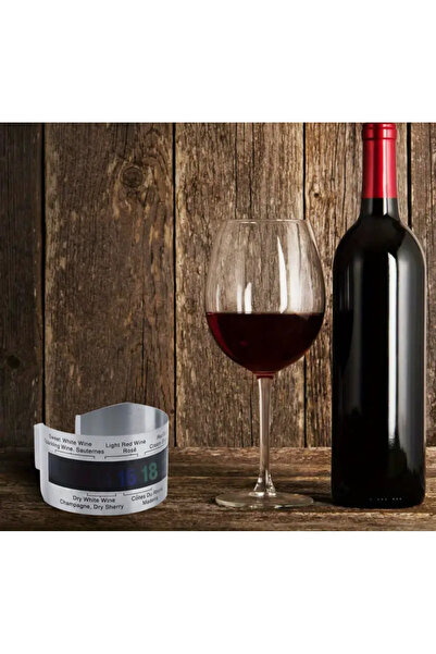 KÜP AKSESUAR Şişe Termometresi - Paslanmaz Çelik