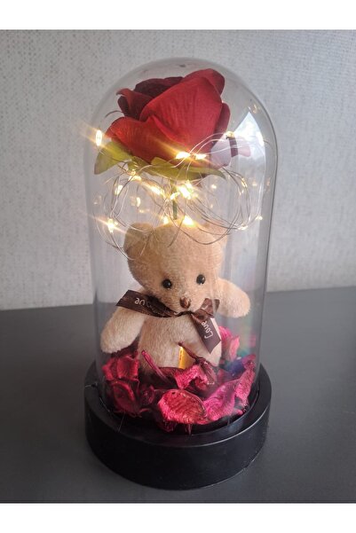 OTODONATIM Güllü Ayıcıklı Ledli Fanus Sevgiliye Arkadaşa Eşe Kardeşe Doğum Gü...