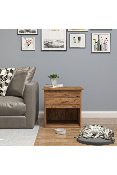 Ninnimo Mia Kedi Evi Kedi Kafesi ve Yan Sehpa