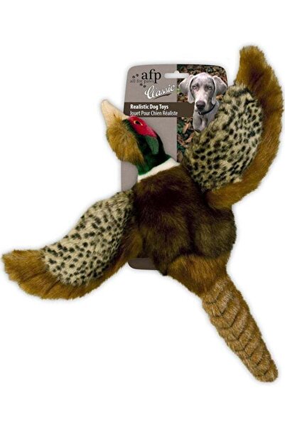 All For Paws Classic Pheasant Small