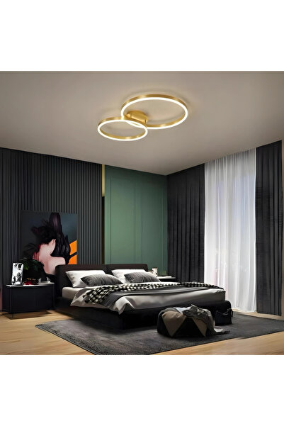 RFAN LED Chandelier, Model R9091/2, With Remote Control, 3 Light Types, 40W, ...