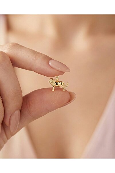 İNDİGO TAKI Üç Boyutlu Sade Minik Aslan 14 Ayar Altın Kolye Ucu