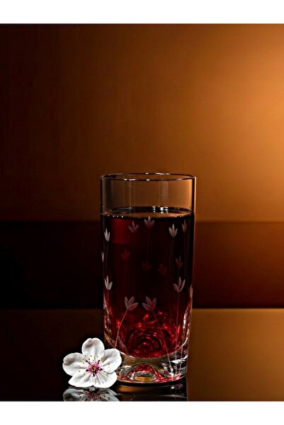 DECOSTYLE Pasabahce Decorated Tulip Holiday Glass Soft Drink 375 Cc Set of 2