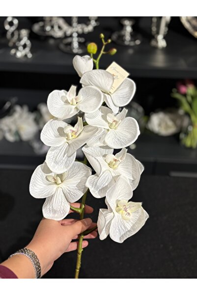 ABROZ HOME DESIGN Islak Dal Orkide /Yapay Çiçek