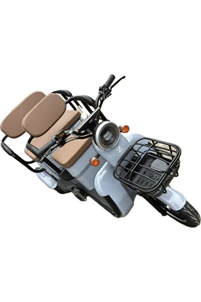 Flippy Electric Tricycle V6, Saige, No License, Two Seats, 1800W Motor, 60km Range, OldStyle Gray