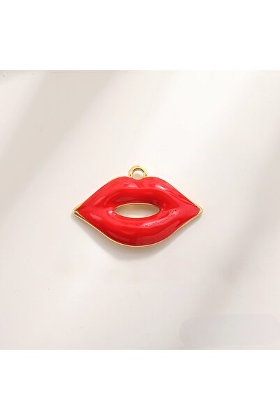 HYPERSOFT Tüm Lightning Telefonlarla Uyumlu Şarj Soketini Toz Ve Kirlerden Ko...