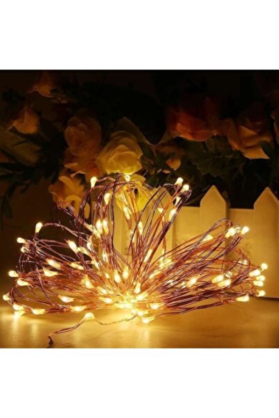 WTO Indoor LED string light, WTO®, 100 LEDs, on copper wire, 10m, cold light