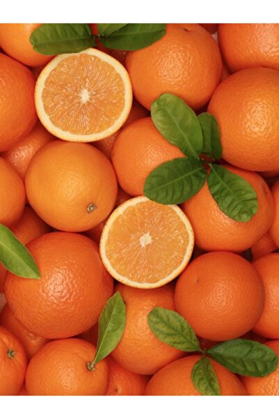 TROPİKYUM PORTAKAL 10 Kg Mevsim Meyvesi Taze Hasat Yerli Mahsul