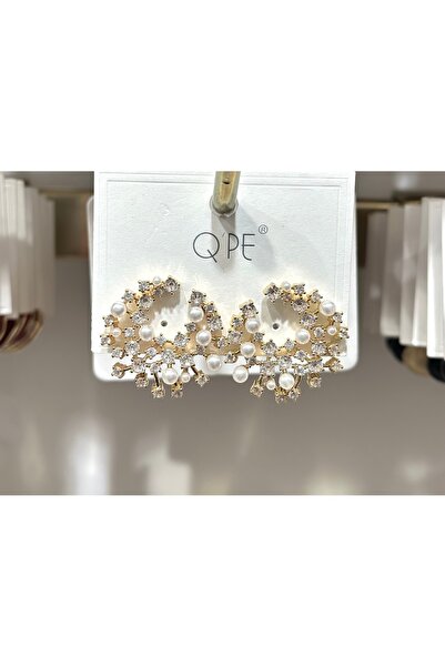 QPE Zircon Stone Luxury Steel Earrings