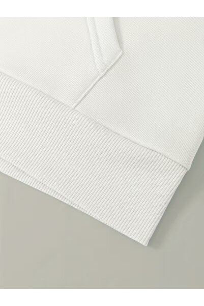 LAYORA Men's Loose Cut Moon Thief Printed Pocket Hooded Sweatshirt, Autumn/Winter