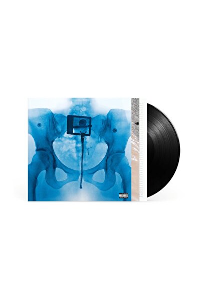 Warner Music Group YABANCI PLAK - Lorde / Virgin