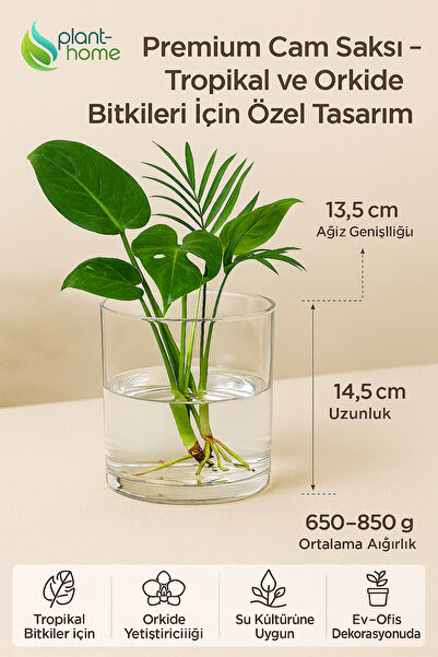 Plant Home Power Mix Cam Saksı – Kesme Çiçek & Orkide İçin Uygun Dekoratif Silindir Cam Vazo