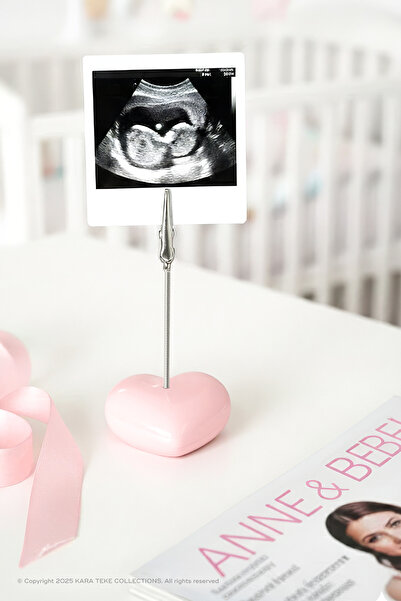 KARA TEKE COLLECTIONS Beton Kalp Masaüstü Not Ve Fotoğraf Tutucu Not Tutacağı – Aligator Klipsli - Pembe