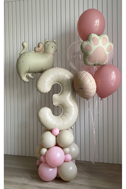 Öztürkpartievi 3 Year Old Cat Concept Birthday Decorations – Pink Pastel Balloon Set & Foil Balloon