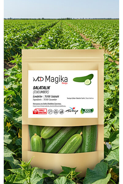 Magika Design Salatalık (Hıyar) 1 KG - Normal Boy - Taze Hasat - Yerli Üretim...