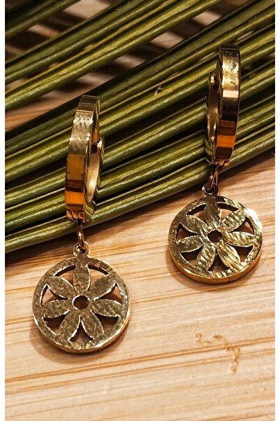 Monalisa Home Steel Stone Gold Color Earrings