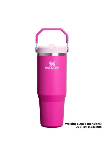 Stanley The Iceflow Flip Straw Thermos Cup with Straw 0.89 Lt Flask Fuchia