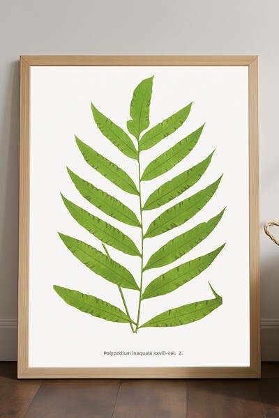 Duvarda Poster cu ramă din lemn în formă de frunză, pictură decorativă de per...