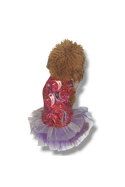 STE Otantik Dişi Köpek Elbise –Fırfırlı – Pazen - Tasma İçin Özel İlikli