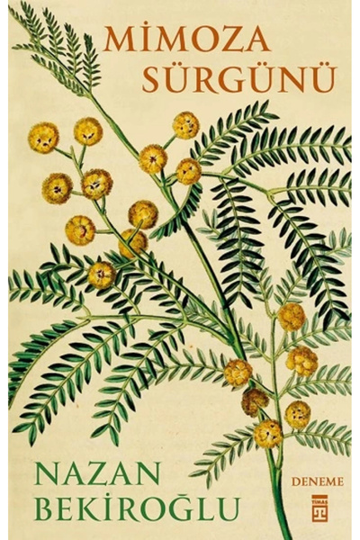 Timaş Yayınları Mimoza Sürgünü Nazan Bekiroğlu