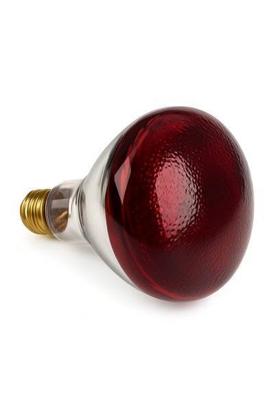 Efe Kuluçka Infrared Kırmızı Lamba 150 Watt