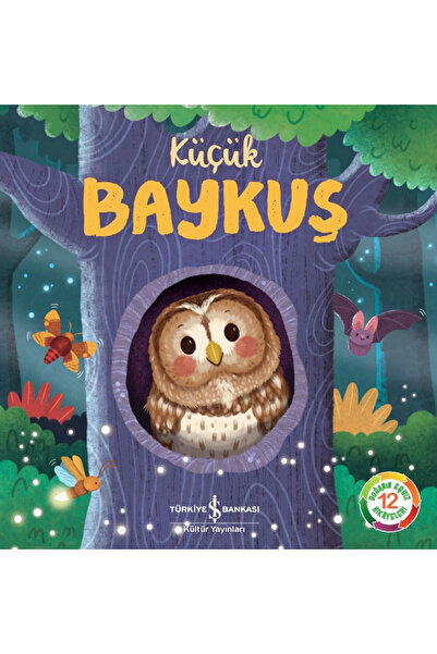 TÜRKİYE İŞ BANKASI KÜLTÜR YAYINLARI Küçük Baykuş
