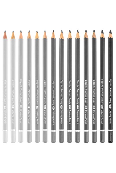 Bigpoint Graduated Pen 2B 12 Pieces Box