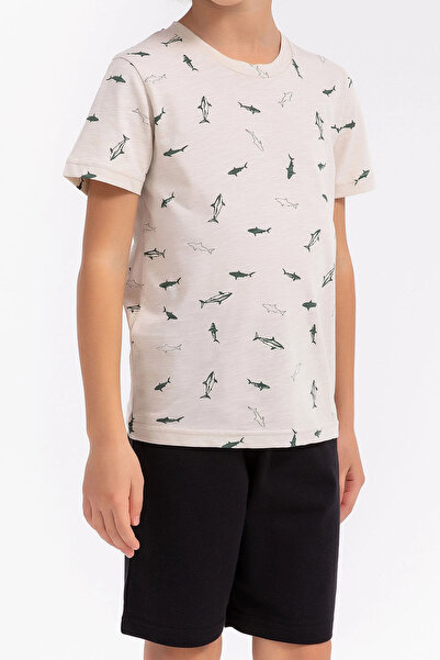 Arnetta Dolphins Beige Boys Bermuda Suit