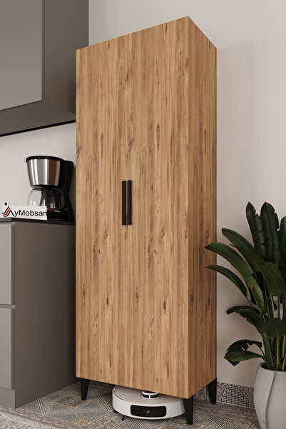 AYMOBSAN 2 Kapaklı Winter Boy Dolabı , Çok Amaçlı Dolap , Killer Dolabı, Bany...