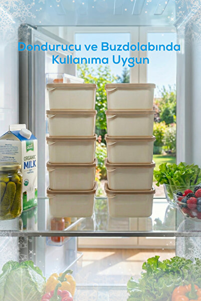 Vienev 10-Piece 350 ml Refrigerator Organizer Microwave and Freezer Storage Container Beige