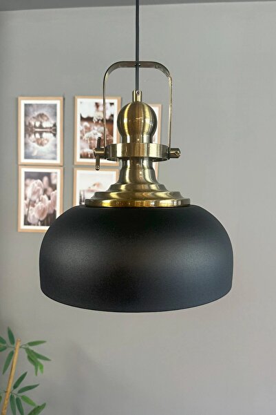 Bamyum Siyah Rocha Metal Avize Eskitme Başlık Salon Masaüstü Mutfak Tekli Avi...