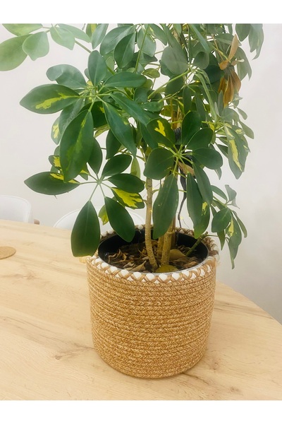 HLM TEKSTİL BEYZAM HOME Hasır Saksılık, Çok Amaçlı Hasır Sepet, Bahçe Düzenleyici 23X20