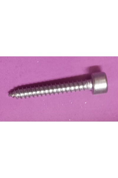 China SS304 SOCKET TAPPING SCREWS- 4.8X32MM