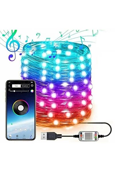 PORKY Instalatie Craciun 10m 100 LED RGB, Control Bluetooth, Interior