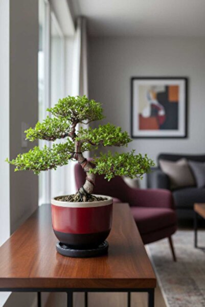 EL YAPIMI Orta Boy Özel Tasarım Saksı Tabak Ağaç Saksısı Yuvarlak Oval Kare T...