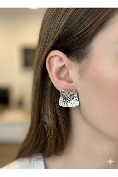 staınless steel Steel Earrings (Silver)